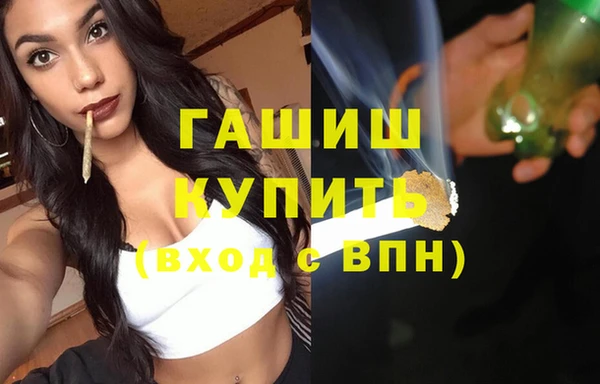 индика Осинники