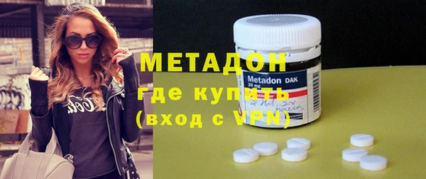 индика Осинники