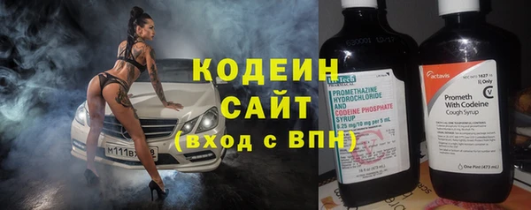 индика Осинники