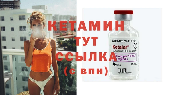 прущие грибы Няндома