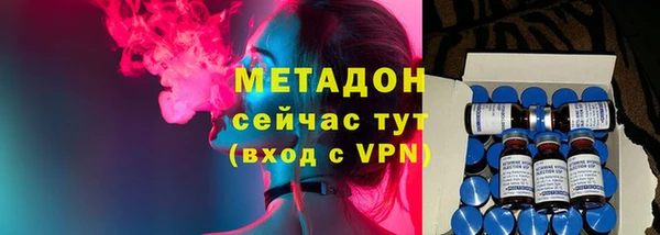 прущие грибы Няндома