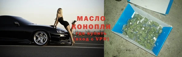 индика Осинники