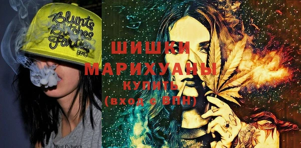 индика Осинники