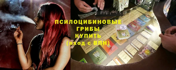 PSILOCYBIN Пестово
