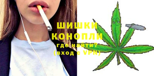 индика Осинники