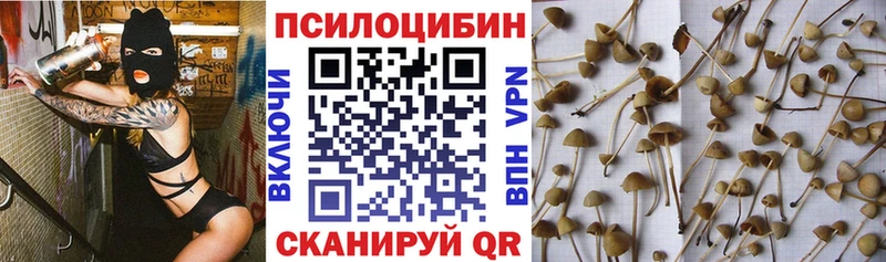 Псилоцибиновые грибы Magic Shrooms  сколько стоит  Анива 